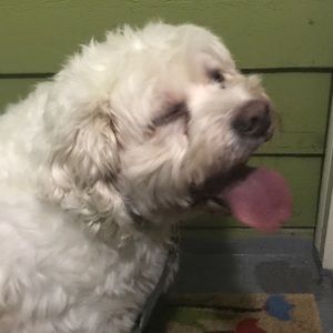 Meet your Posher, Melanie